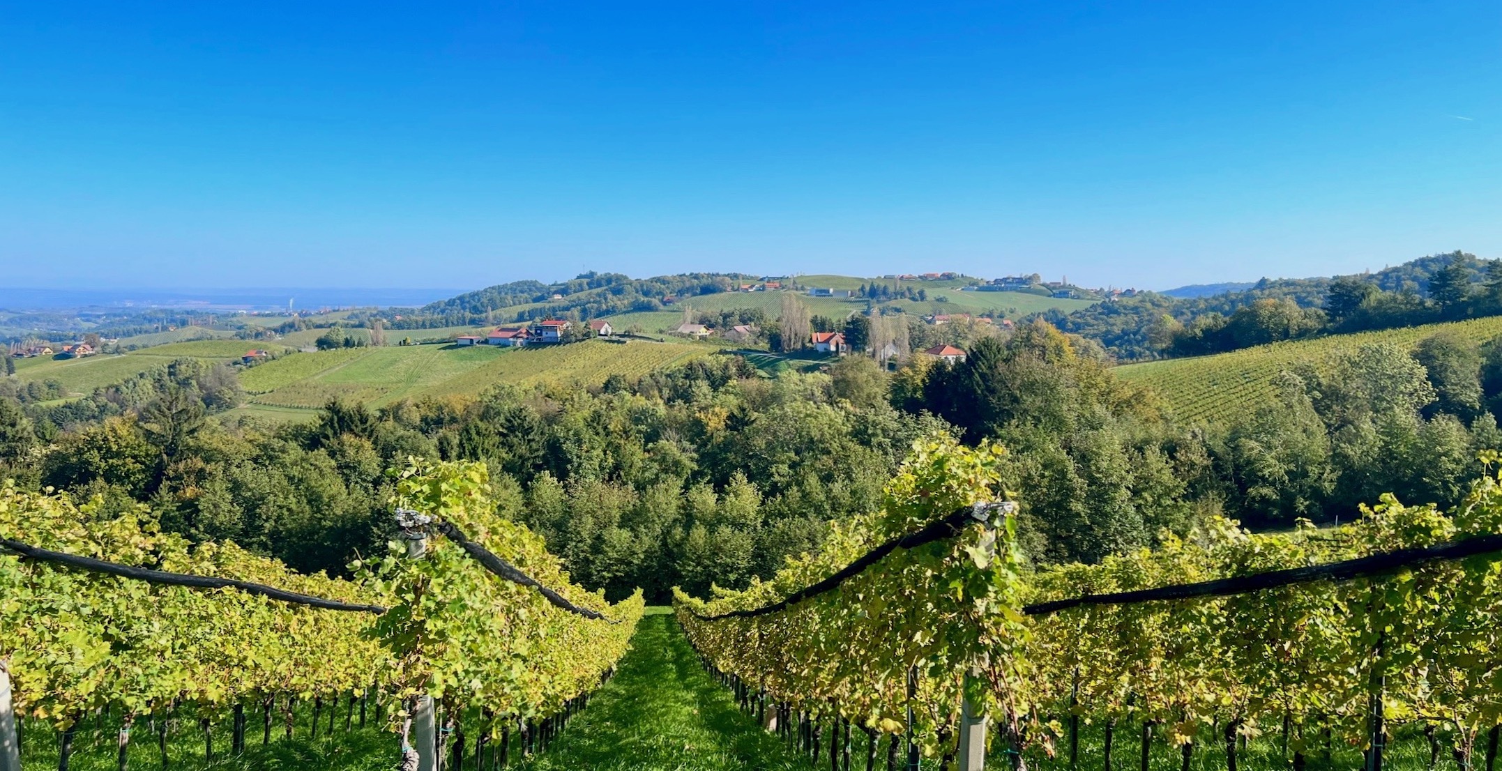 Traumgrundstück mit Altbestand in Gamlitz | BZ Immobilien